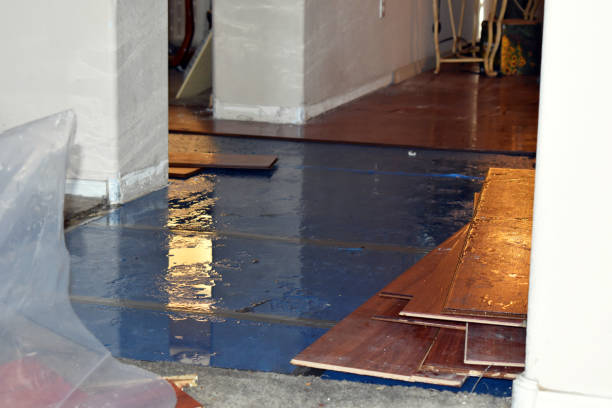 Professional Basement Flood Cleanup technician working in Saginaw, MN